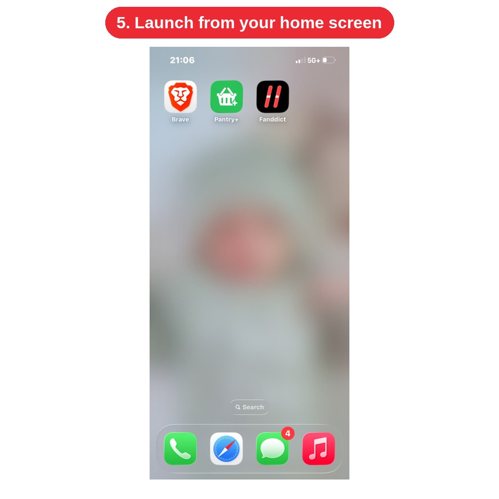 iPhone home screen showing the Fanddict app icon